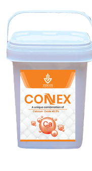 CONEX