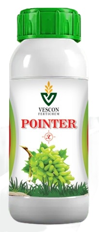 POINTER X