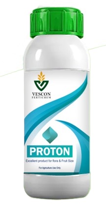 PROTON