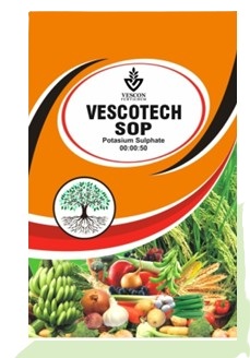 SOP
