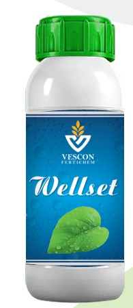 WELLSET